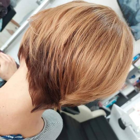 Frisco #sarajevo Farbanje kose Farbanje cijele dužine kose - kosa srednje dužine