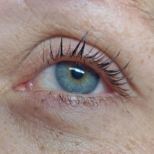 Medina Studio #sarajevo Trepavice Lash lift + farbanje trepavica Lice