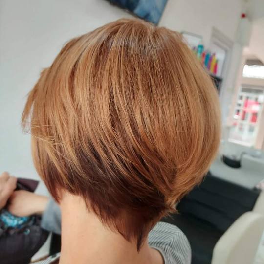 Frisco #sarajevo Farbanje kose Farbanje cijele dužine kose - kosa srednje dužine