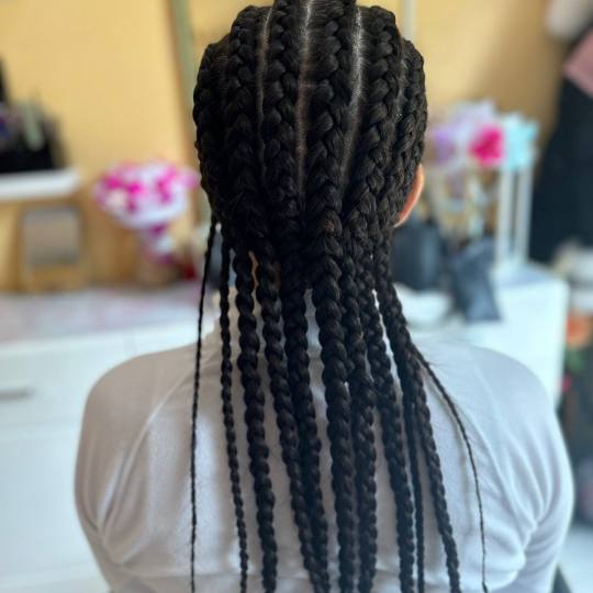 Poezija ljepote #sarajevo Pletenice, kike, punđe Pletenica - jedna