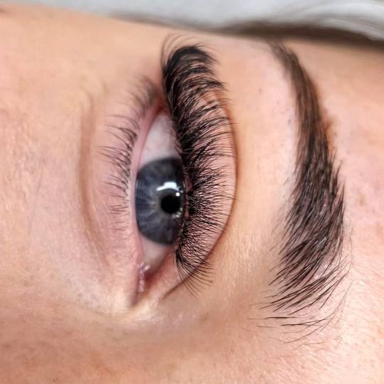 Poezija ljepote #sarajevo Nadogradnja trepavica Nadogradnja trepavica - ruski volumen