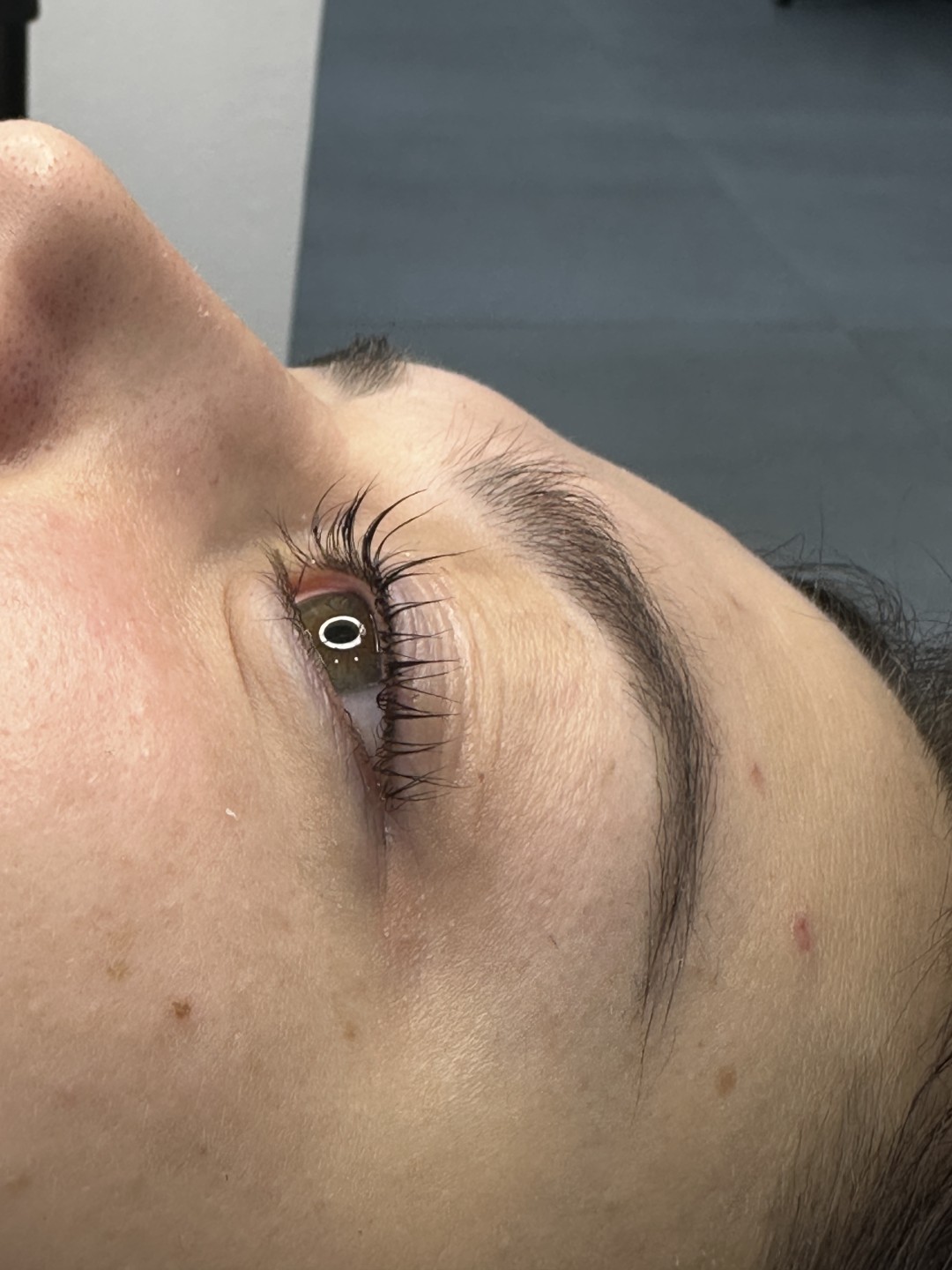 Mila #rogatica Obrve Laminacija obrva