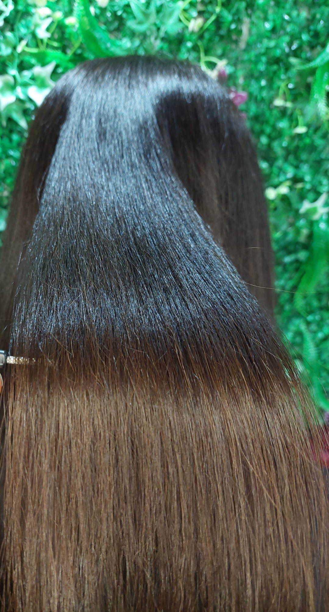 Frisco #sarajevo Njega i ojačavanje kose Kraljevski tretman - sve dužine kose