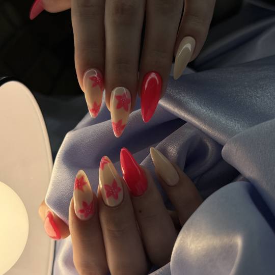 Idelle Studio usluga