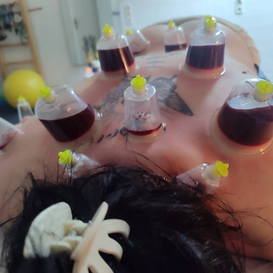 Care & Balance by Dženi usluga