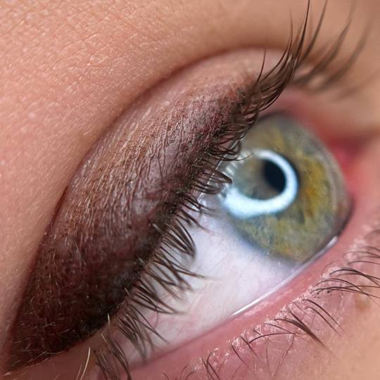 Signature #tuzla Trajna šminka Edukacija - klasični / osjenčeni eyeliner