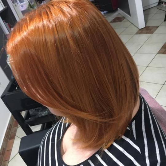 Frisco #sarajevo Farbanje kose Farbanje cijele dužine kose - kosa srednje dužine