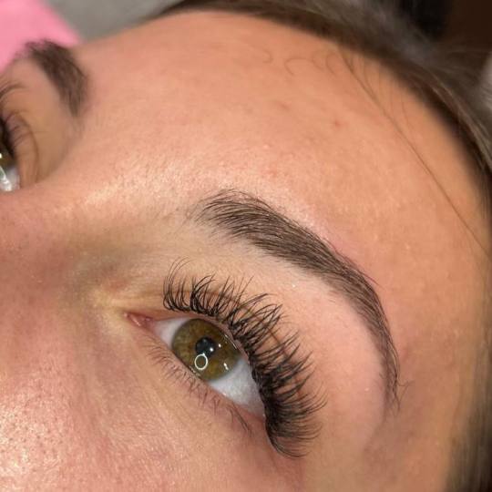 Poezija ljepote usluga