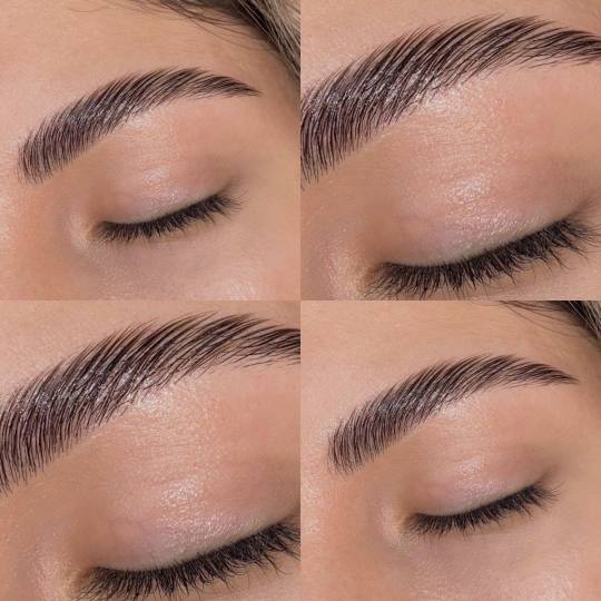 Poezija ljepote usluga