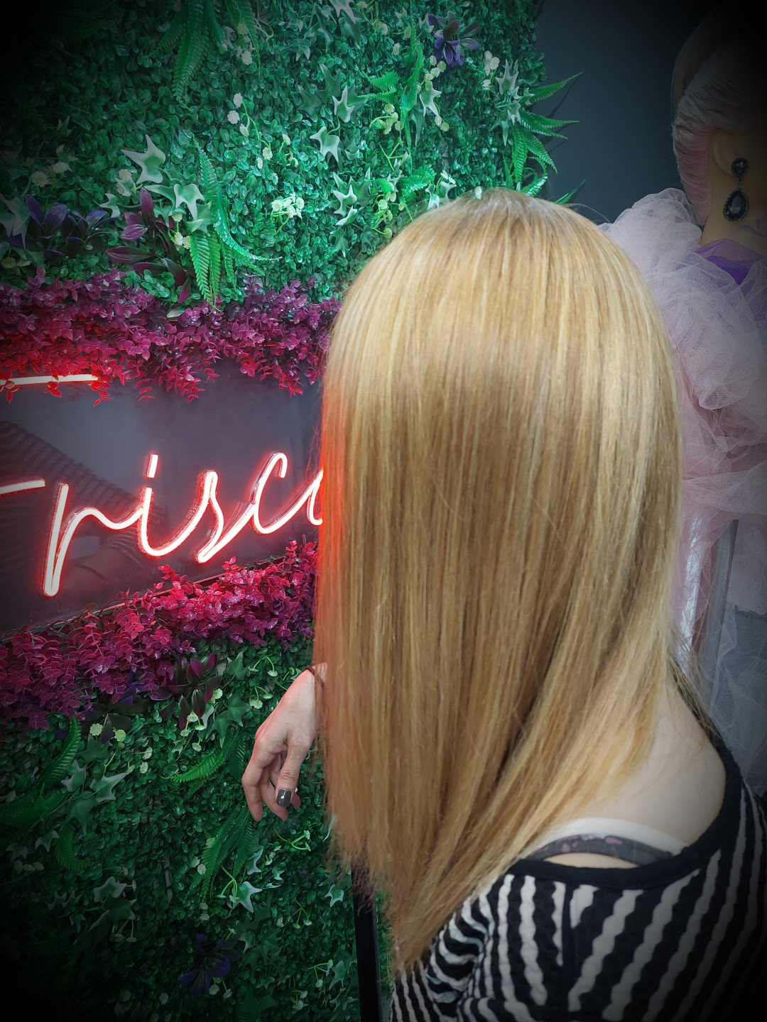 Frisco #sarajevo Farbanje kose Farbanje cijele dužine kose - duga kosa