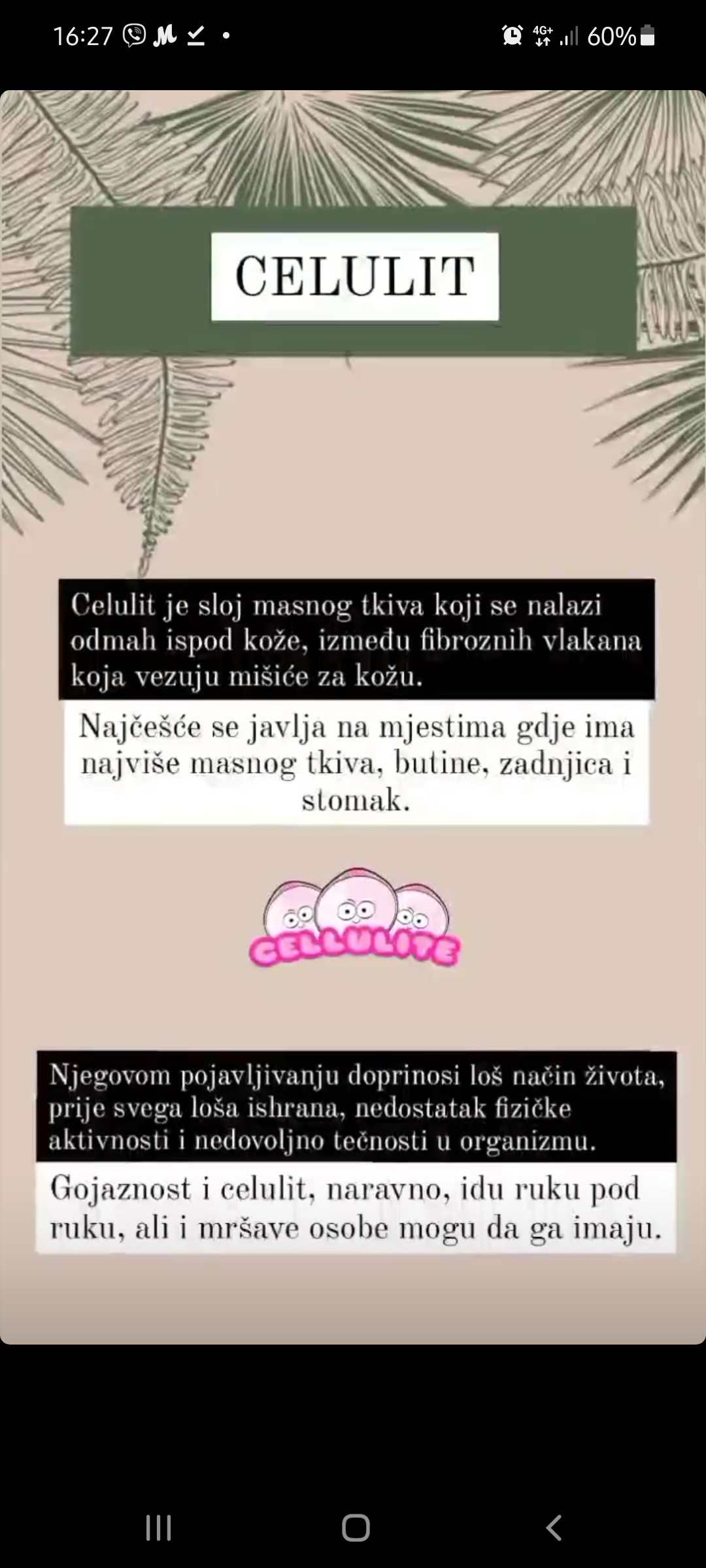 Nervus #banjaluka Anticelulit masaža Anticelulit masaža