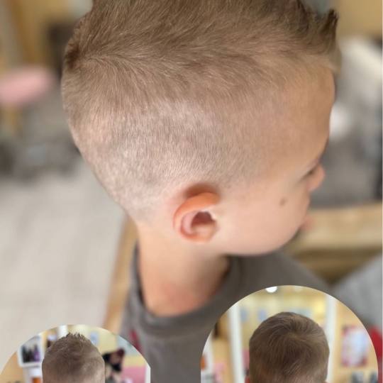 Poezija ljepote usluga