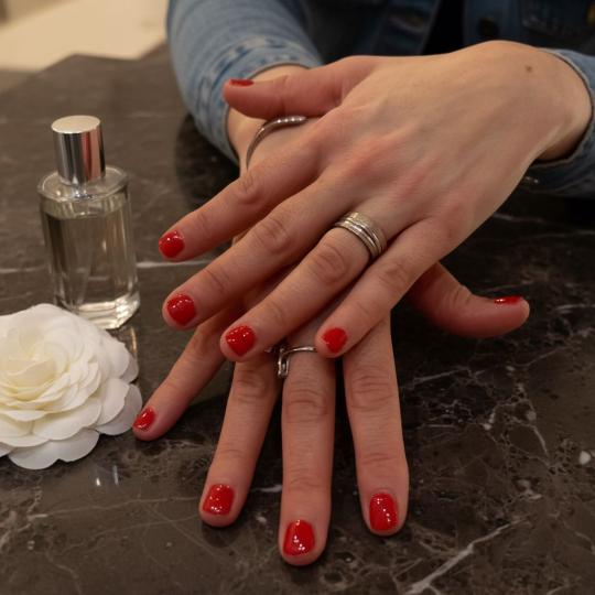 Poezija ljepote #sarajevo Gel lak Trajni lak - french