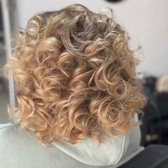 Frisco #sarajevo Farbanje kose Farbanje cijele dužine kose - kosa srednje dužine