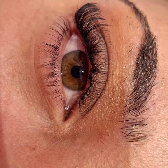 Poezija ljepote #sarajevo Nadogradnja trepavica Nadogradnja trepavica - ruski volumen