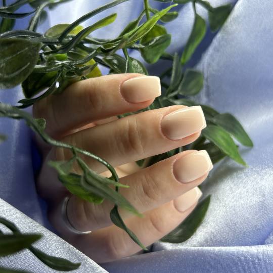 Idelle Studio usluga