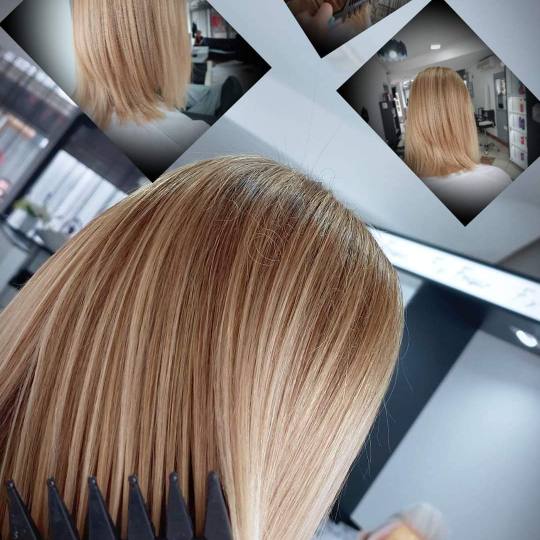 Frisco #sarajevo Pramenovi Pramenovi na foliju - duga kosa