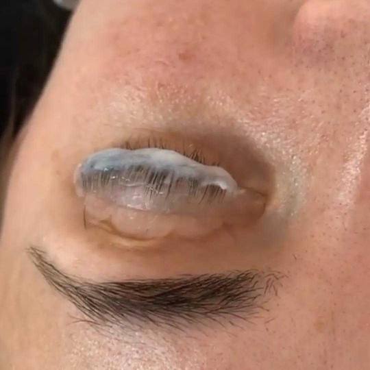 Poezija ljepote usluga