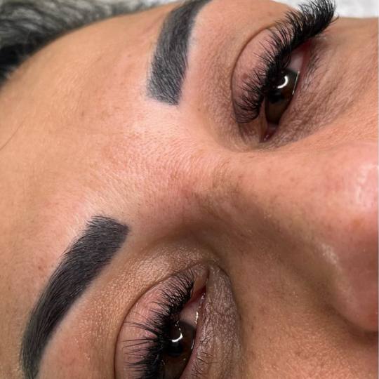 Ella #modrica Trepavice Ruski Volumen