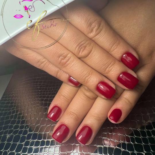 Studio ef #sarajevo Gel lak Trajni lak - S duzina