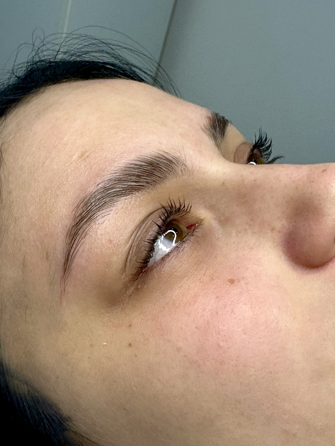 Mila #rogatica Obrve Laminacija obrva