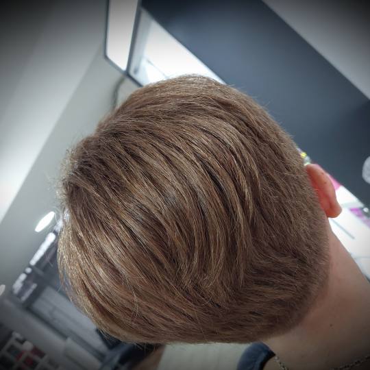 Frisco #sarajevo Farbanje kose Farbanje cijele dužine kose - kratka kosa