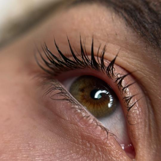 Atelier Beauty #sarajevo Trepavice Lash lift + farbanje + uvijanje trepavica