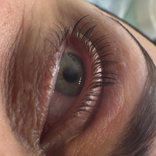 Elan beauty by Amra - Lash & Brow #sarajevo Trepavice Lash lift