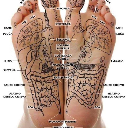 Raindrop #banjaluka Masaža lica Refleksologija stopala + masaža nogu do koljena Refleksologija sto