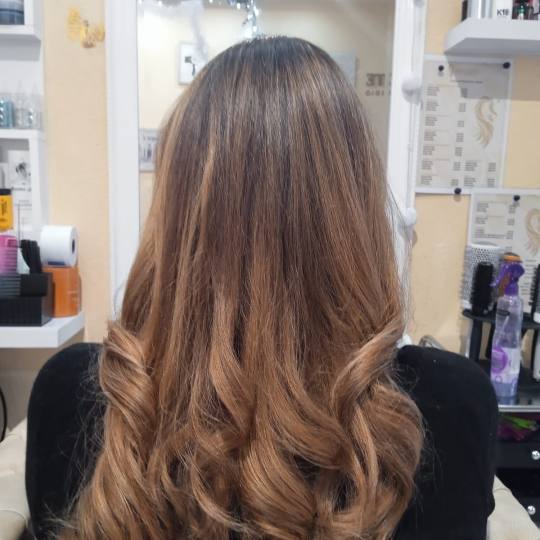 Poezija ljepote usluga