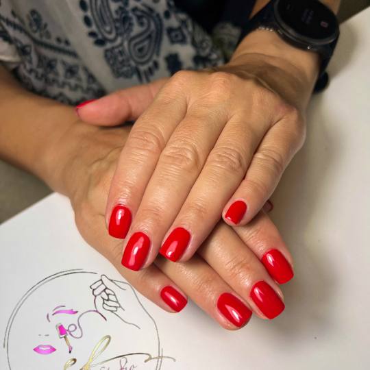 Studio ef #sarajevo Gel lak Trajni lak - S duzina