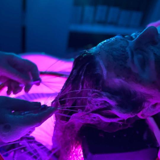 Lovely Em salon & head spa usluga