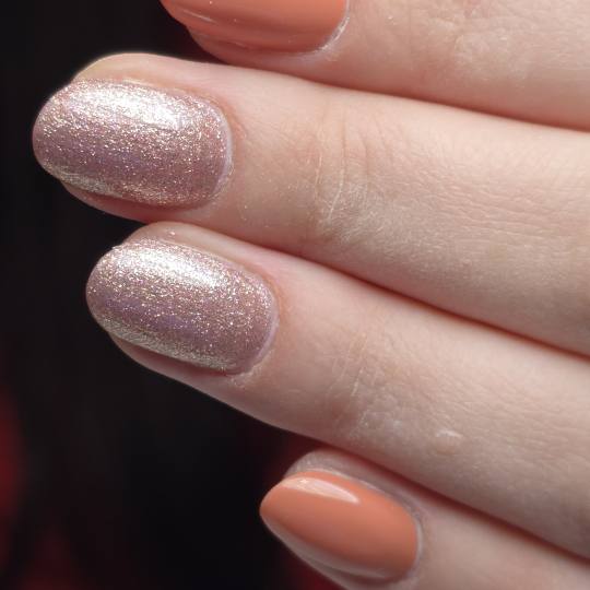 Rose beauty studio #bosanska-krupa