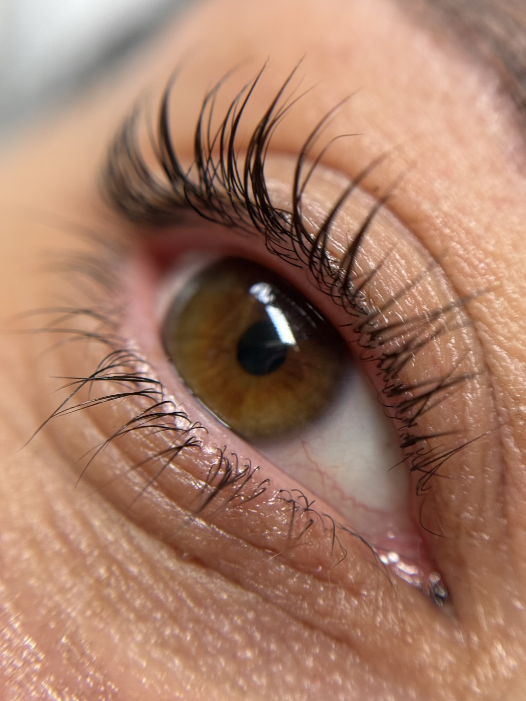 Beauty studio Luxe #sarajevo Trepavice Lash lift