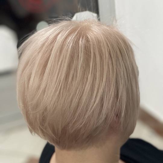 Frisco #sarajevo Farbanje kose Farbanje cijele dužine kose - kratka kosa