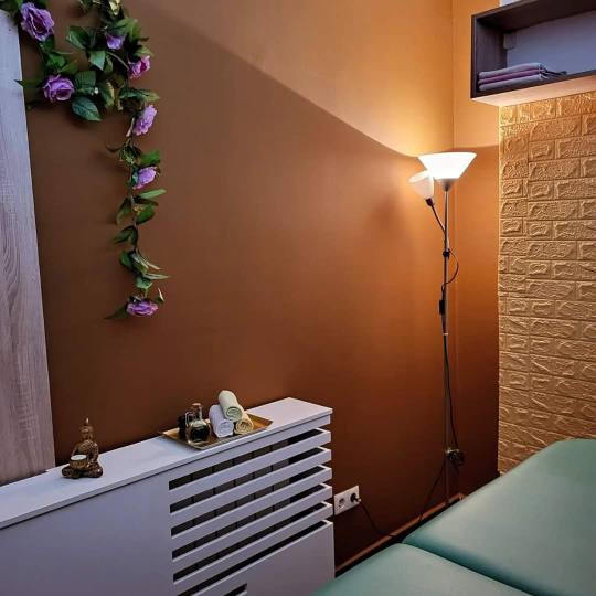 Health Care Koncept #sarajevo Masaža za opuštanje / relax / antistres Relax masaža - 60 minuta Ma