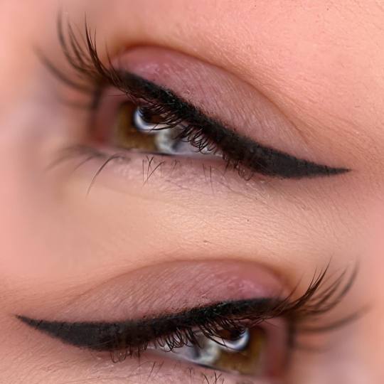 Signature #tuzla Trajna šminka Edukacija - klasični / osjenčeni eyeliner