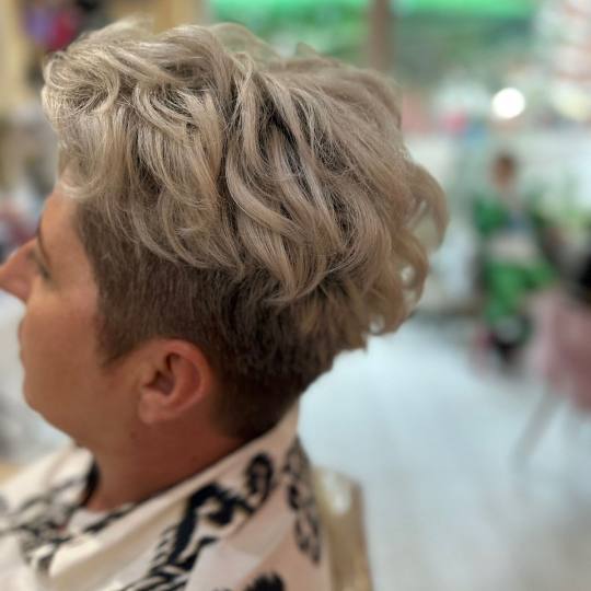 Poezija ljepote usluga