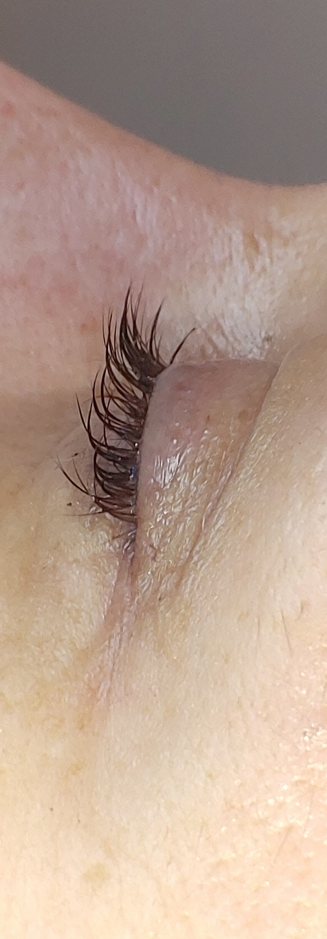 Lash lift - Salon ljepote A3M By Amela Malkoč, Sarajevo Trepavice Lice Trepavice, Sarajevo, Centar - Stari Grad