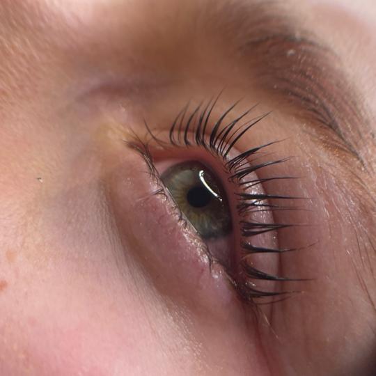 Elan beauty by Amra - Lash & Brow #sarajevo Trepavice Korejski lash lift