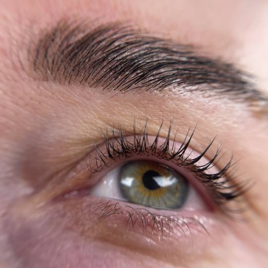 Kuća ljepote Djenna #sarajevo Trepavice