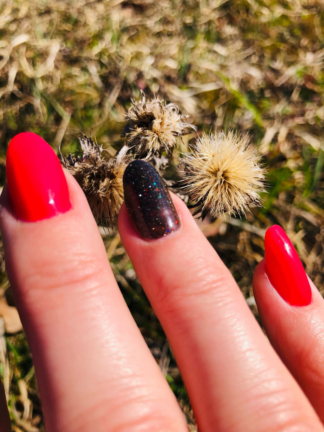 SD Nail Studio #sarajevo