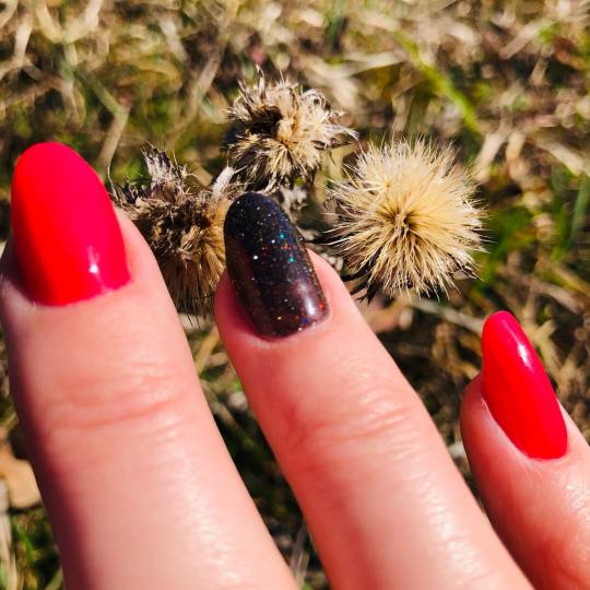 SD Nail Studio #sarajevo