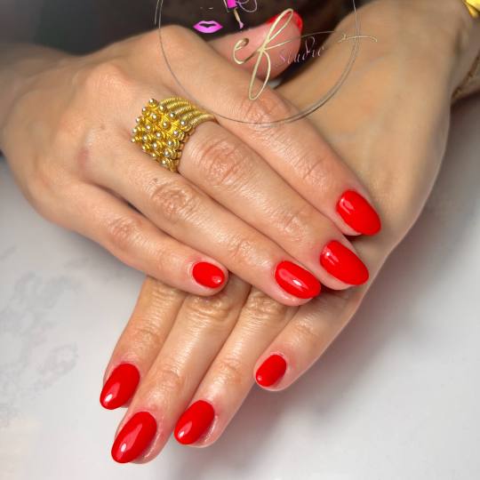 Studio ef #sarajevo Gel lak Trajni lak - S duzina