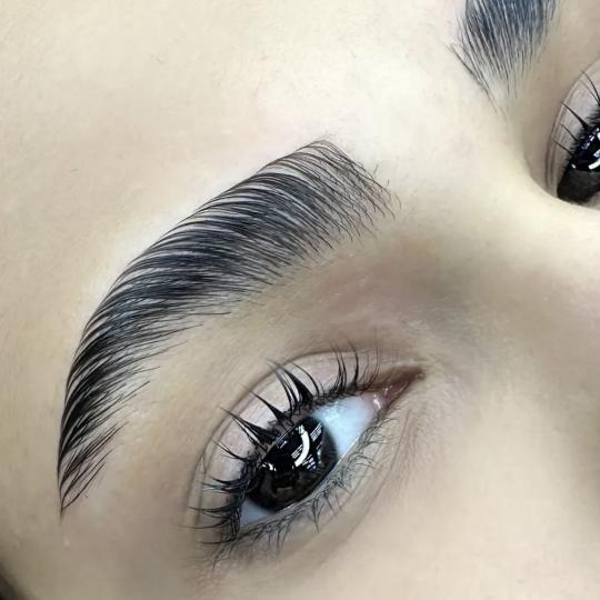 Elan beauty by Amra - Lash & Brow #sarajevo Obrve Halal brows