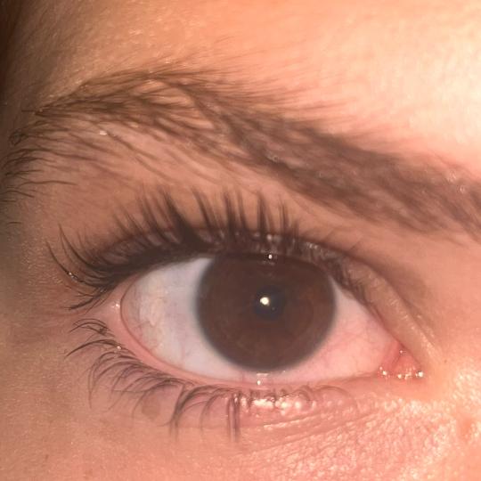 Medina Studio #sarajevo Trepavice Lash lift + farbanje trepavica Lice