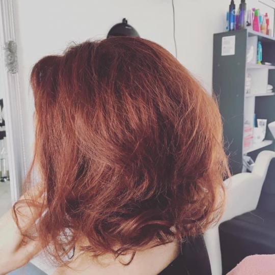 Frisco #sarajevo Farbanje kose Farbanje cijele dužine kose - kosa srednje dužine