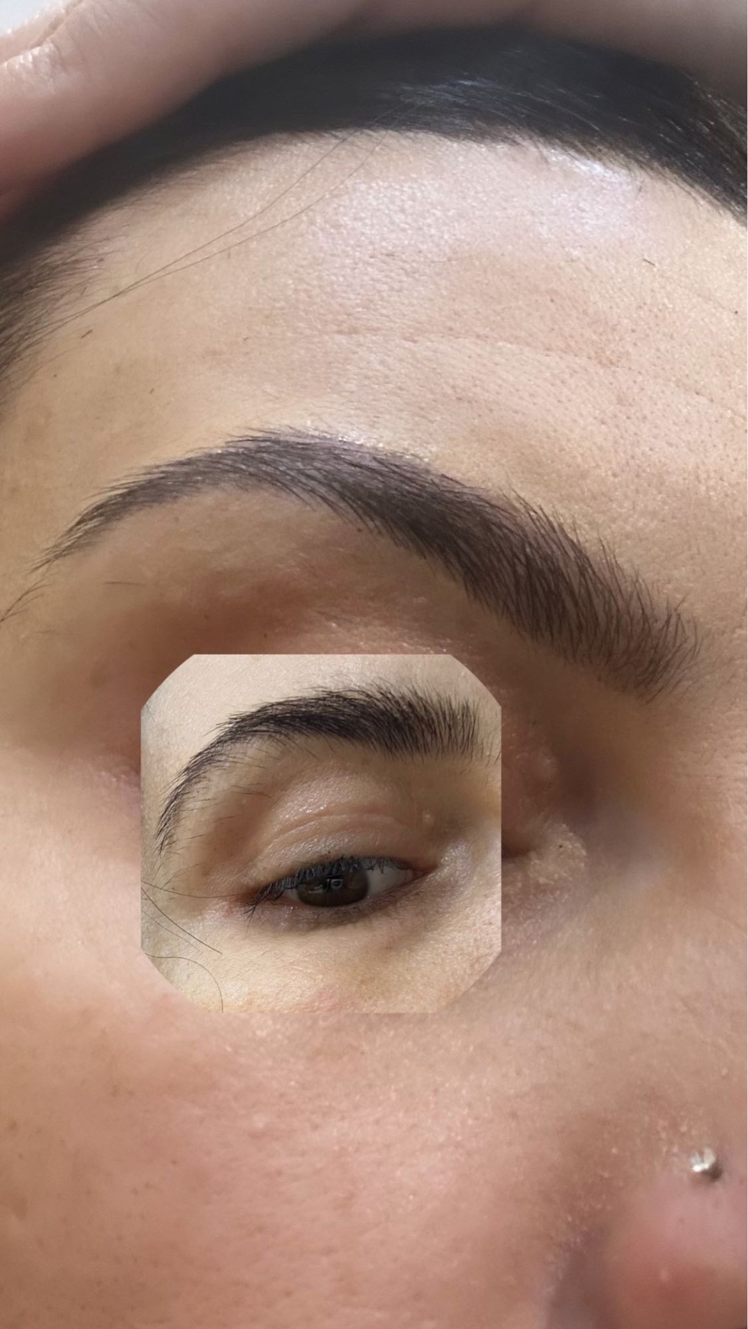 Poezija ljepote #sarajevo Obrve Oblikovanje + korekcija obrva pincetom / voskom + bojenje kanom