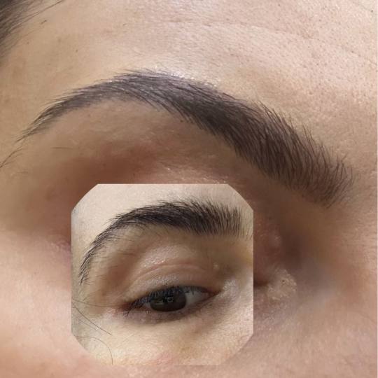 Poezija ljepote #sarajevo Obrve Oblikovanje + korekcija obrva pincetom / voskom + bojenje kanom