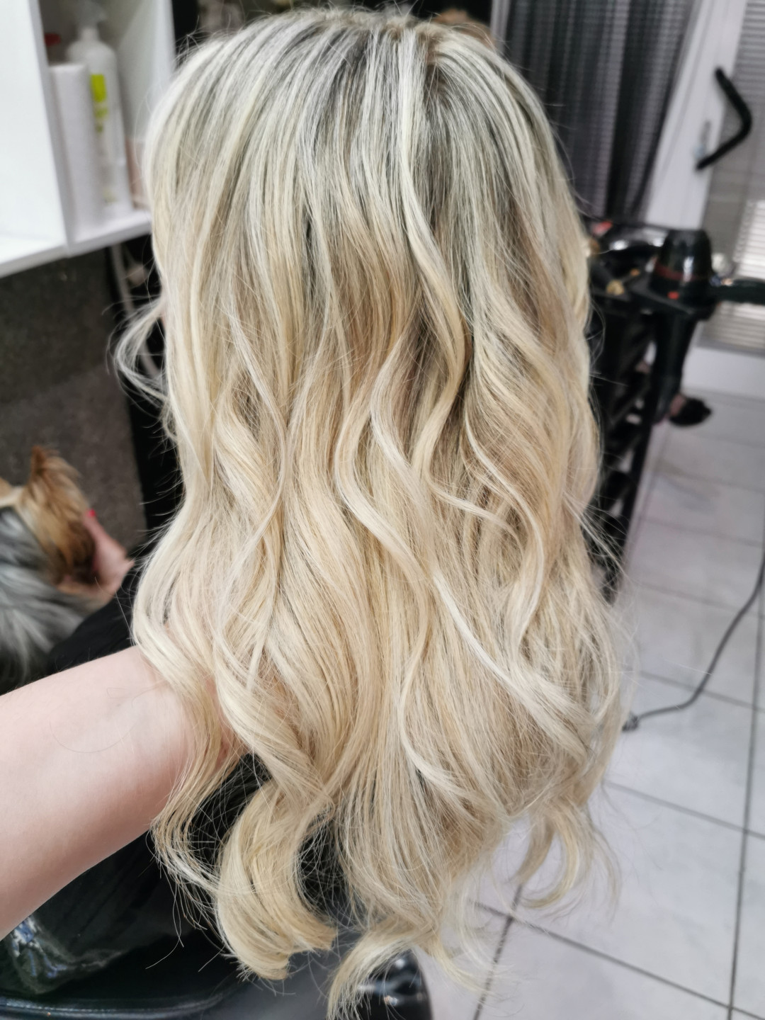 Farbanje cijele dužine - duga kosa - Uno by Amra Gegaj, Sarajevo Feniranje i stilizovanje Frizerski saloni Feniranje i stilizovanje, Sarajevo, Novo Sarajevo - Novi Grad